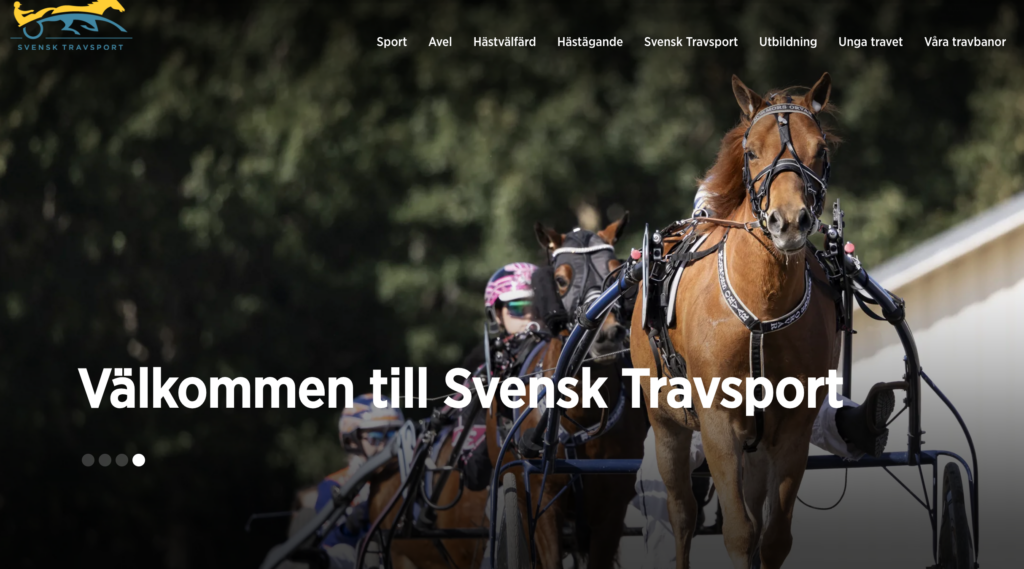 En bild på Svensk Travsports webbplats startsida.